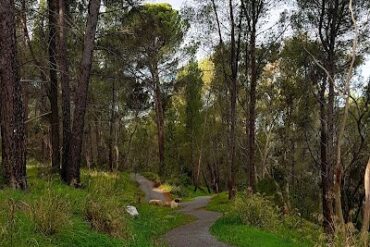 Highbury Aqueduct Reserve Highbury (SA)