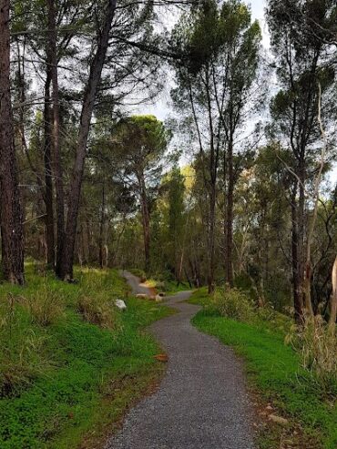 Highbury Aqueduct Reserve Highbury (SA)