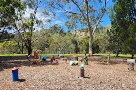 Highbury Fairy Village and Rock Swap Tree Highbury (SA)