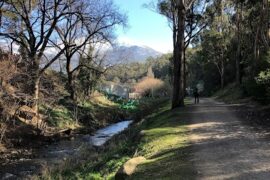 Hobart Rivulet Park South Hobart