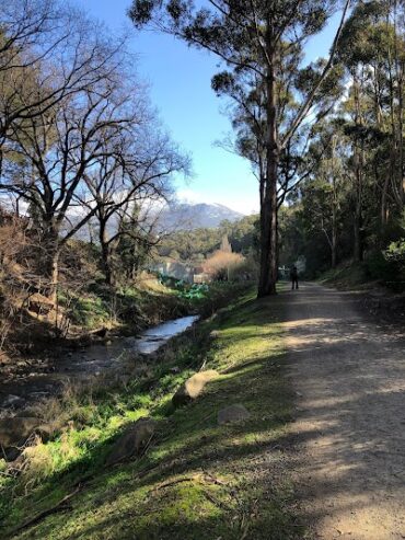 Hobart Rivulet Park South Hobart