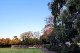 Hull Park Beechboro