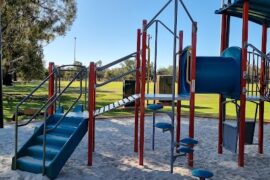 Jack Mann Oval Playground Swan