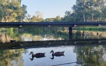 John E Brown Park (Park 27A) North Adelaide