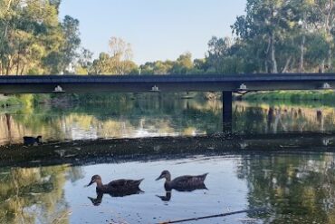 John E Brown Park (Park 27A) North Adelaide