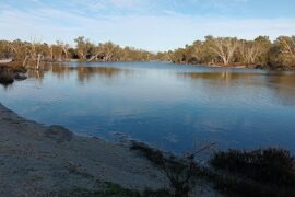 Joseph and Dulcie Nannup Trail Greenfields