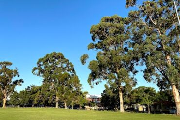 Kambany Park Dalyellup