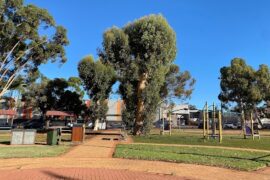 Kingsbury Park Kalgoorlie