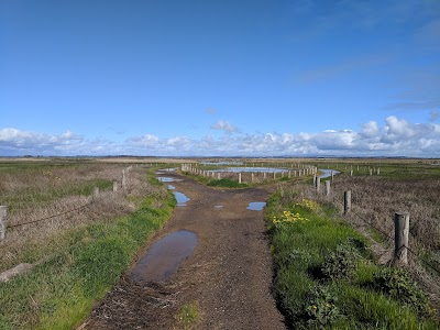 Lake Connewarre State Game Reserve Leopold