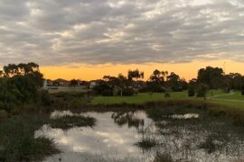 Lake View Boulevard Wetlands Keysborough