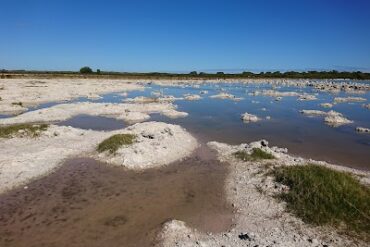 Lake Walyungup South Reef Warnbro