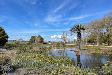 Lake Wendouree Fairyland Lake Wendouree