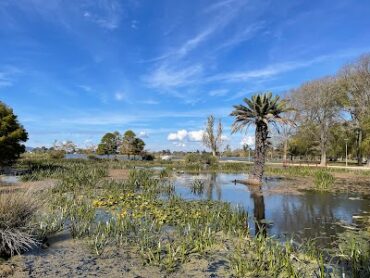 Lake Wendouree Fairyland Lake Wendouree