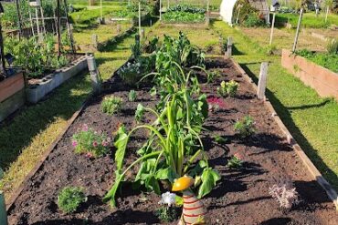 Lalor Community Garden Lalor