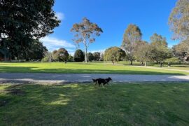 Landcox Park Brighton East