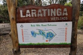 Laratinga Wetlands Mount Barker (SA)