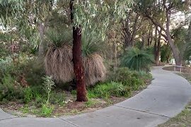 Leake St Playground North Perth