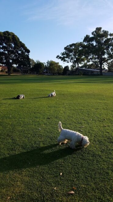 Leslie Deague Park Rivervale