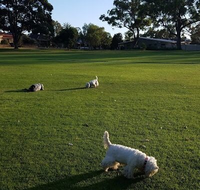 Leslie Deague Park Rivervale