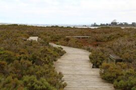 Limeburners Lagoon State Nature Reserve Corio