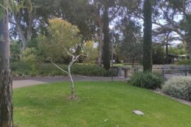 Linde Reserve Adelaide