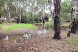 Little Para Linear Park (Lower) Paralowie