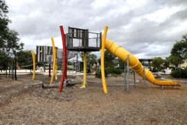 Livvi's Place Playground Swan