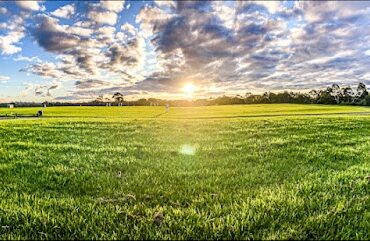 Llewellyn Park Wantirna South