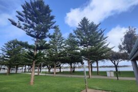 Mandurah Eastern Foreshore Mandurah