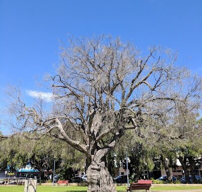 Mitchell Park Busselton