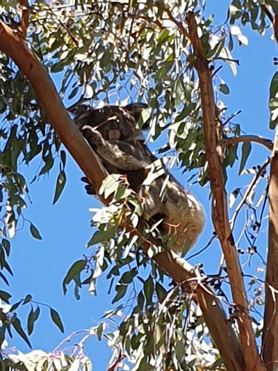 Monaro Reserve Aberfoyle Park