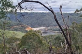 Montacute Conservation Park Rostrevor