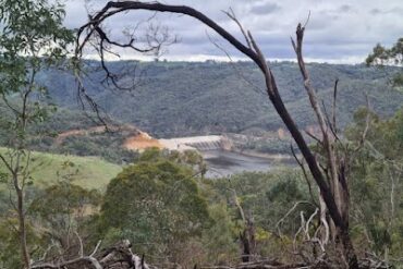 Montacute Conservation Park Rostrevor