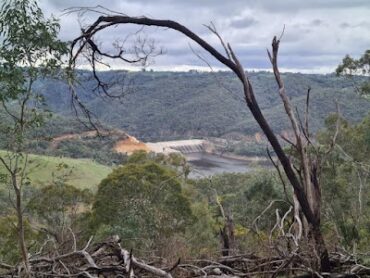 Montacute Conservation Park Rostrevor