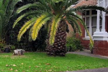 Moonee Ponds Big Pineapple Moonee Ponds