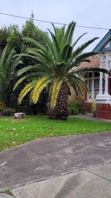 Moonee Ponds Big Pineapple Moonee Ponds