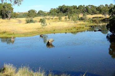 Morang Wetlands South Morang