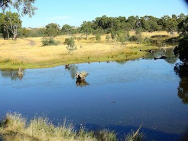 Morang Wetlands South Morang