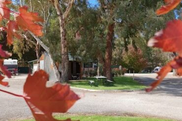 Mount Barker Caravan & Tourist Park - South Aust Mount Barker (SA)