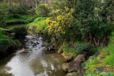 Mullum Mullum Creek Linear Park Doncaster East