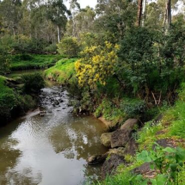 Mullum Mullum Creek Linear Park Doncaster East