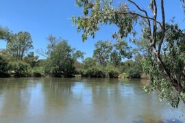 Mungabareena Reserve East Albury