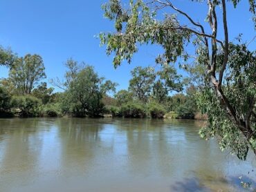 Mungabareena Reserve East Albury