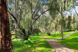 Smith Creek Walking Trail, Craigmore/Munno Para, Elizabeth Downs & Blakeview Blakeview