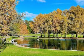 Rymill Park /Murlawirrapurka (Park 14) Adelaide