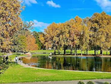 Rymill Park /Murlawirrapurka (Park 14) Adelaide