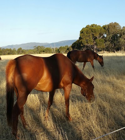 Lefevre Park / Nantu Wama (Park 6) Adelaide