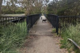 Napier Park Glen Waverley