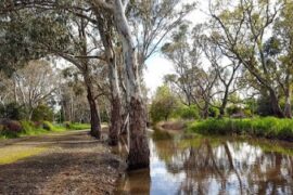 Naracoorte Creek Walk Naracoorte