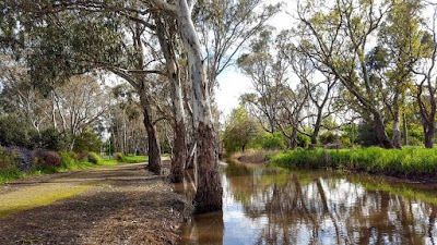 Naracoorte Creek Walk Naracoorte